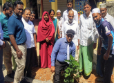 சர்வதேச  சுற்றாடல் தினக் கொண்டாட்டம் 